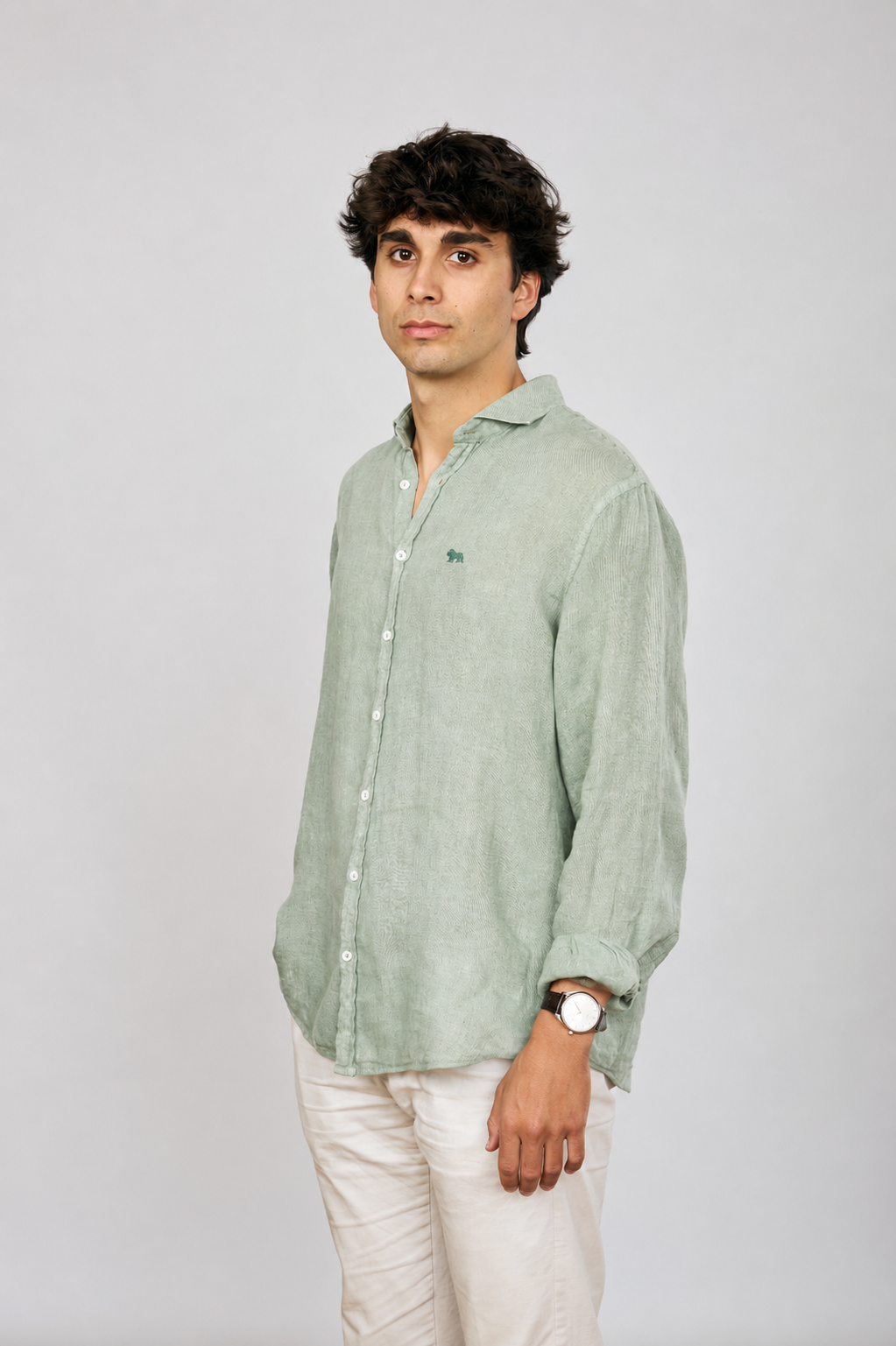 Camisa Costa Lino Green