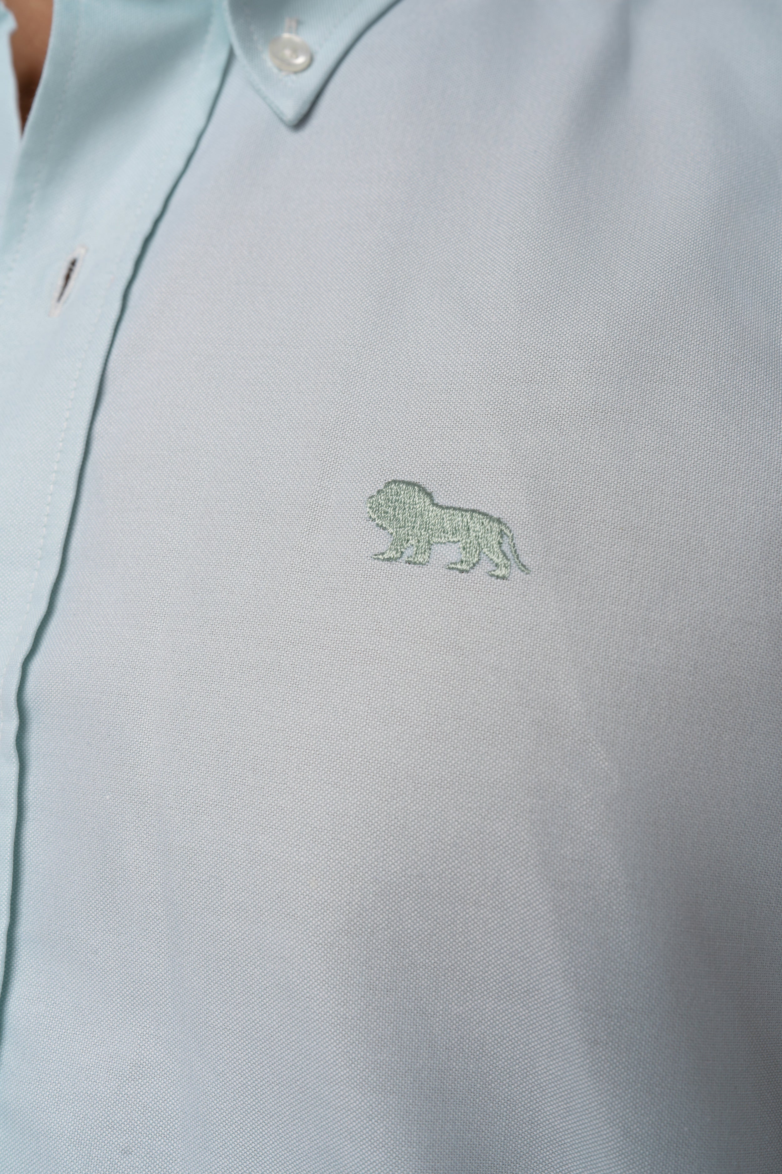Camisa Verde León