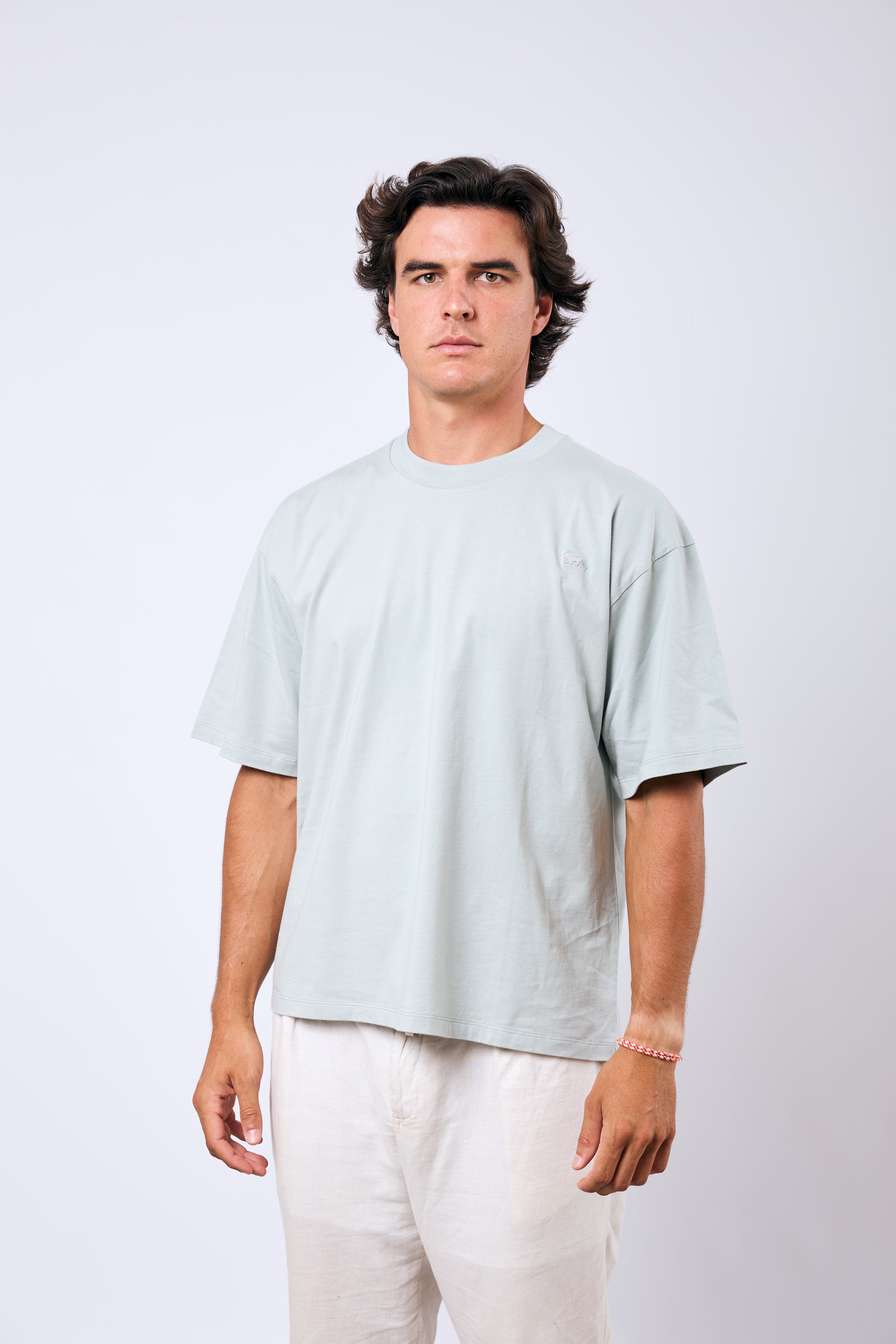 Basic T-Shirt Light Green