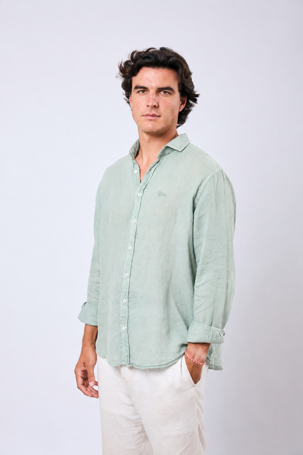 Camisa Costa Lino Green