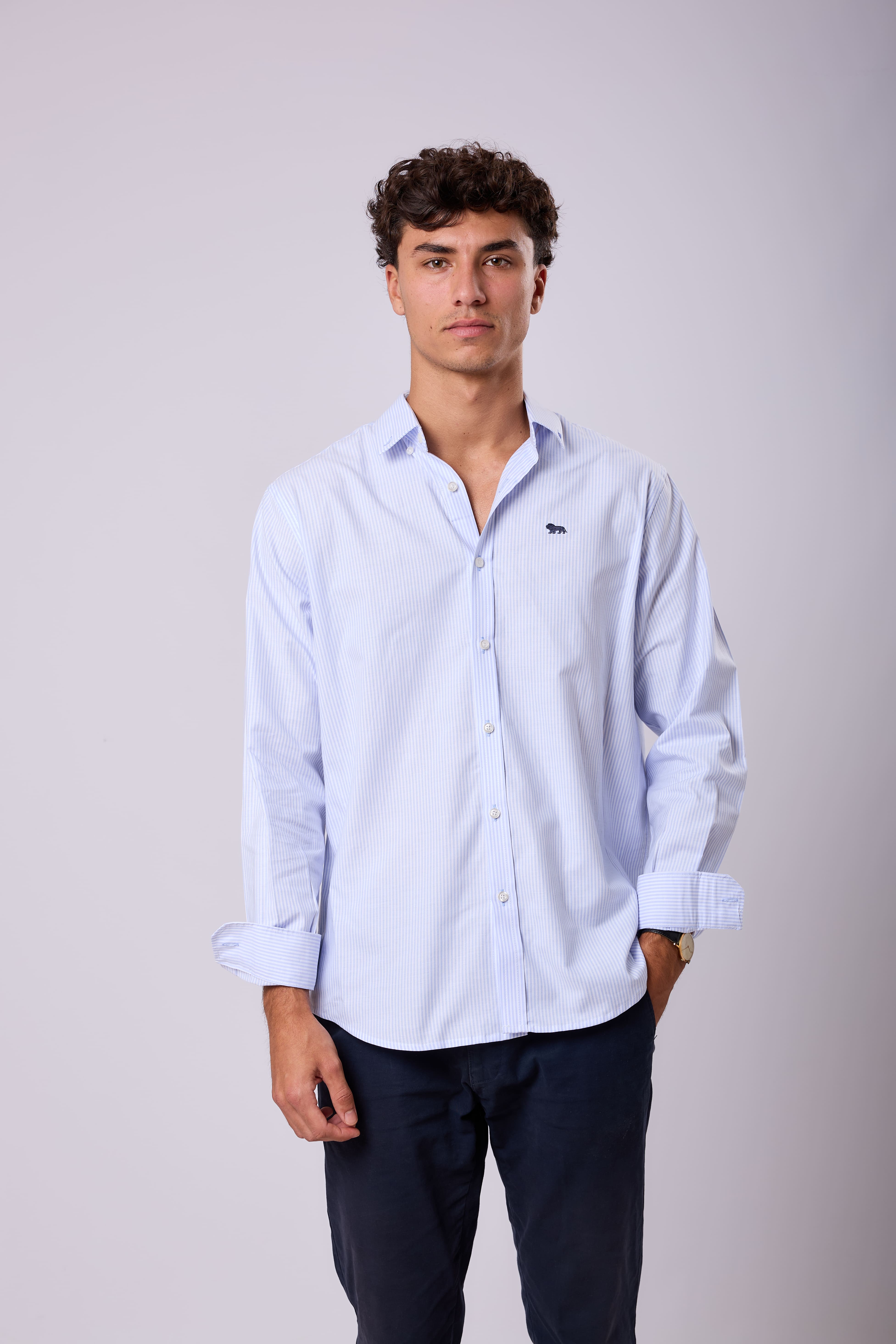 Camisa Rayas Azules