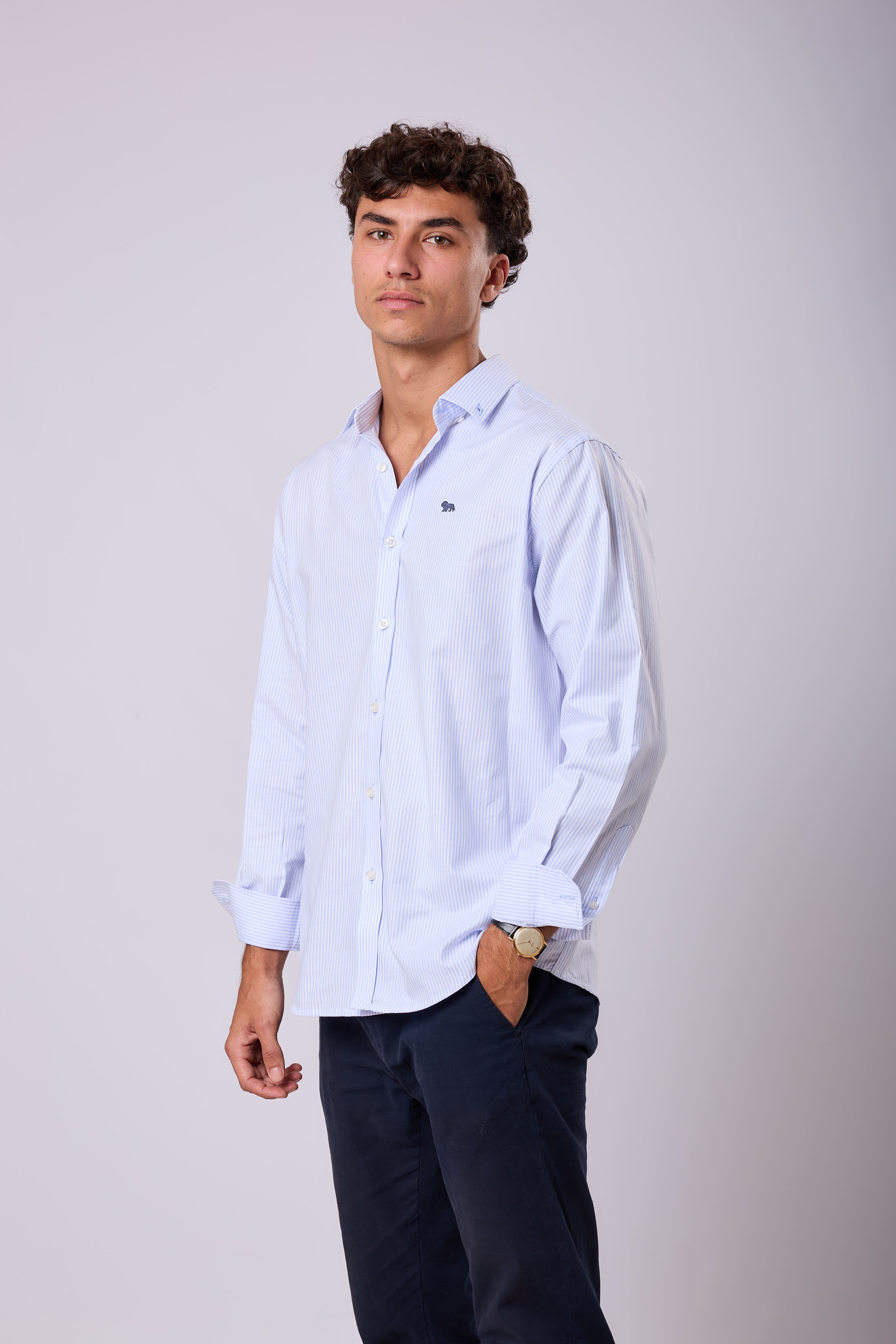 Camisa Rayas Azules